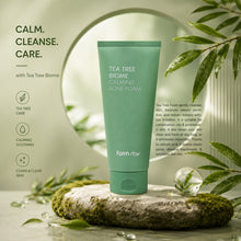 Load image into Gallery viewer, TEA TREE BIOME CALMING ACNE FOAM